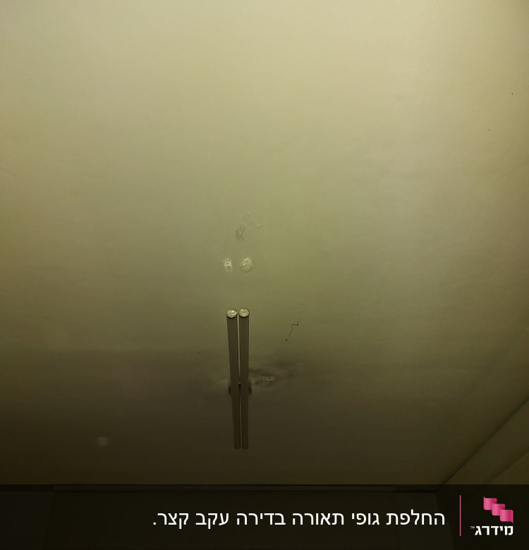 שני גופי תאורה צמודים לתקרה